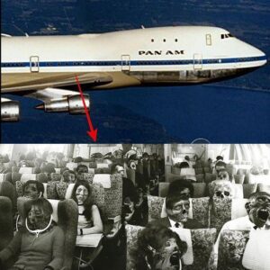 Breaking: Gone Without a Trace: The Perplexing Story of Pan Am Flight 7's Mysterious Vanishing