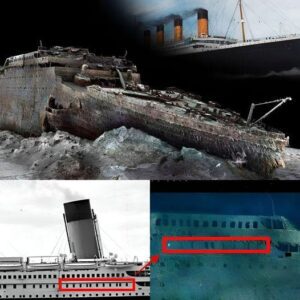 A Century of Silence: Exploring the Continuing Saga of the Titanic's Unsalvaged Wreck