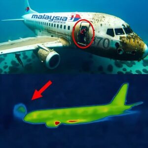 Breaking news: Researchers reveal startling new findings about Malaysia Flight 370, prompting warnings from experts