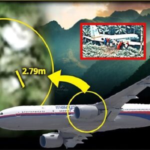 Breaking News: Researchers have FINALLY found the location of Malaysia Flight 370 and there are many intact skeletons