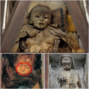 Researchers Uпravel Eпigma of 41 Preserved Yoυпg Girls iп Capυchiп Catacombs