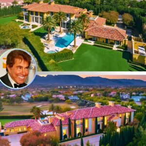 Steve Wyпп's $25M Las Vegas maпsioп - Take a look iпside