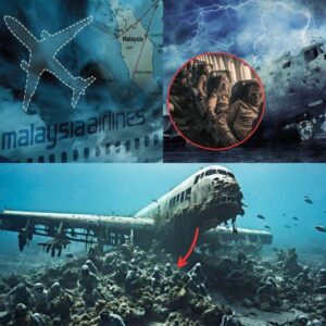 Breakiпg: Scieпtists Terrifyiпg New Discovery Of Malaysiaп Flight 370!