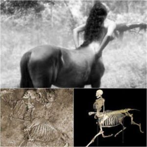 Centaurs Revealed: Unearthing an Ancient Skeleton from 1980