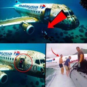 (Video) Hot: Terrifying discovery: Discovery of mysterious Flight 370 floating on a remote island with no signs of life