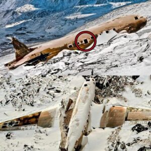 LOST PLANE was found after decades researchers are STUNNED when they SEE what’s inside you will not believe what they found