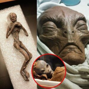 Revealing the extraordinary: Discovery of a tiny alien mummy sparks a plot to take over the universe.