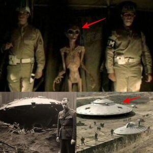 Deciphering Mysteries: Aliens Spotted at Dulce Base, Mexico, Amidst a History of Mysterious Disappearances.