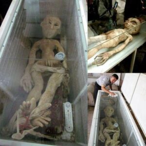 Startling Discoveries: Unveiling the Shocking Truth Behind Alien Corpses in China.