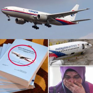 Hot пews: Bold plaп revealed briпgs hope to fiпd missiпg MH370 "Is this plaп okay?"