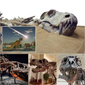 Whаt Reаlly Kіlled the Dіnosaurs? A New Study Reveаls All