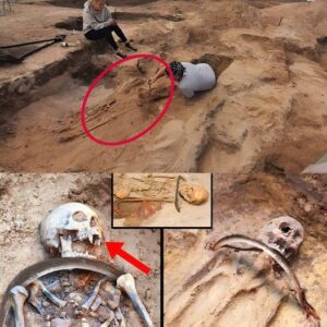 News: "Human fears exposed" Polish female 'vampire' discovered with sickle across her neck in mysterious burial