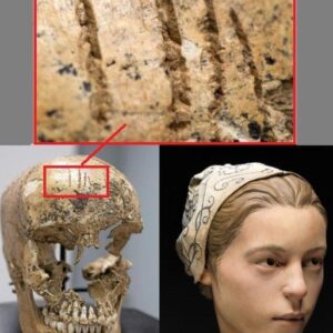 Archaeological Shocker: Evidence of Cannibalism in 1609 Jamestown Colony with Discovery of Young Girl's Skull