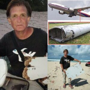 Revealing the mystery: Meet the person who found the most MH370 fragments and their surprising stories