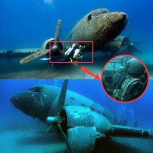 Breaking news: Strange footage of corroded plane found under ocean surface sparks global conspiracy