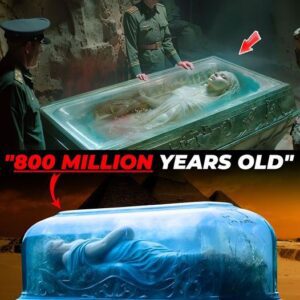 Hot news: The coffin of the sleeping princess is 800 million years old, her skin is still strangely rosy