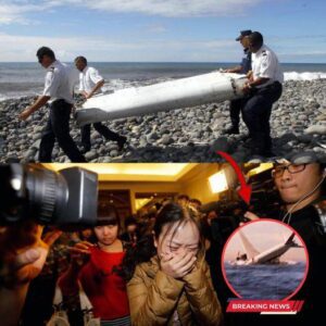 Stunning New Revelations in MH370 Case Leave the World Astonished