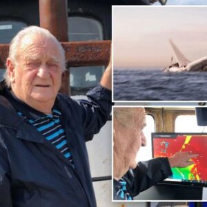 New Clue in MH370 Disappearance: Australian Fisherman Claims to Have Found Plane Wing