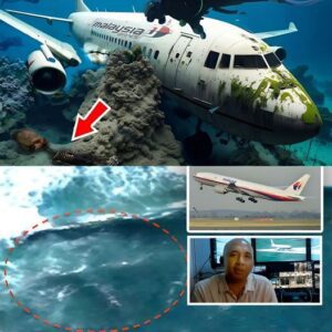 New discovery: The pilot's 22-minute puzzling actions may hold the key to proving the mystery that MH370 WAS a murder-suicide