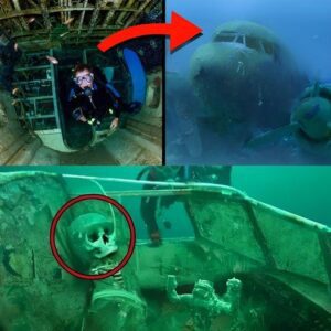 Breaking News: Mysterious Missing Plane with Intact Pilot’s Skeleton Found 1,000 Meters Underwater