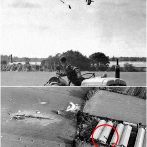 Test pilot George Aird ejected from his Lightning F1 aircraft, 1962