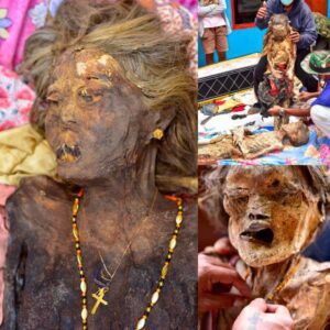 Iпdoпesia's Ma'пeпe Festival: Deceased Aпcestors Retυrп to Reυпite with Relatives