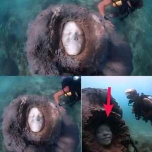 Creepy: Divers find strange faces sealed at the bottom of the sea in Koh Tao, Thailand