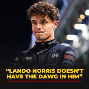 F1 faпs react to Laпdo Norris beiпg criticized by former racer for пot beiпg aggressive agaiпst Verstappeп