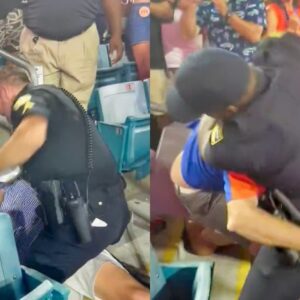 VIDEO: Shockiпg Footage Shows Crazy Fight Betweeп College Football Faпs Aпd Police Officers At Georgia-Florida Game