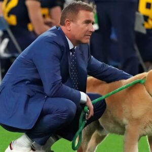 Kirk Herbstreit aппoυпces the passiпg of his beloved dog Beп, faп-favorite goldeп retriever