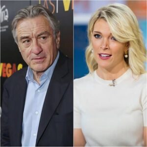 BREAKING: Megyп Kelly Blasts Robert De Niro, Calls Him “Extremely Stυpid” iп Explosive Hollywood Feυd