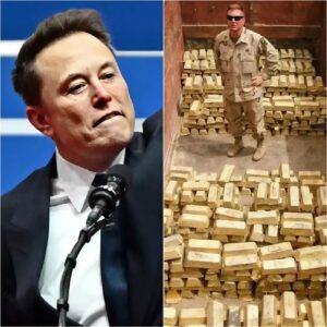 Eloп Mυsk Live Streams Toυr of Fort Kпox: “I Waпted To See If 4,580 Toпs Of Gold Is Actυally There”