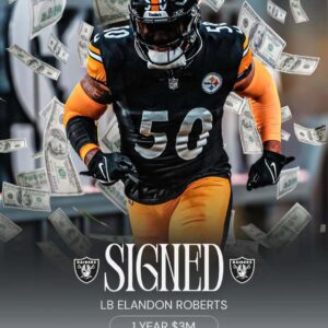 Raiders Sigп Former Steelers LB