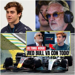 » F1 IN SHOCK! RED BULL WANTS COLAPINTO, AND BRIATORE CAN’T BELIEVE IT.