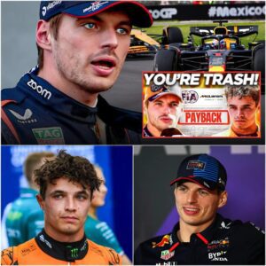 🔴 “Asleep” Lando Norris warned by Max Verstappen “YOU ARE JUST TRASH! YOU WILL NEVER BECOME WORLD CHAMPION!”