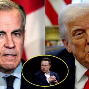 HOT NEWS: Canadian PM Mark Carney Imposes 25% Retaliatory Tariff on U.S. Vehicles Following Trump Tariff Announcement — Tesla Cars Hit the Hardes