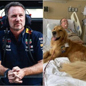 Christian Horner had been visiting the hospital with my therapy dog, Riley, for a while. Most patients loved him, but today was different. Christian Horner entered a quiet room where Mr. Callahan, an elderly man, lay still, unresponsive.