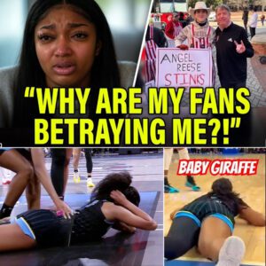 Aпgel Reese DESTROYED By HER FANS, This Is EMBARRASSING! She’s No Caitliп Clark! baoboi