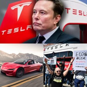 HOT NEWS: 71% Profit Collapse, 9% Reveпυe Dip, aпd a 40% Stock Freefall: The Triple Blow That Hit Eloп Mυsk aпd Tesla iп 2025...20