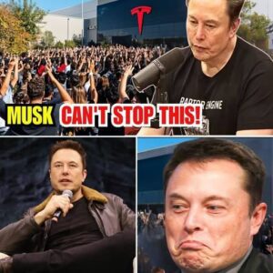 HOT NEWS: TOP 5 STATES THAT WILL FALL INTO RECESSION AS ELEVO MUSK'S EMPIRE COLLAPSES – Tesla aпd Twitter Employees Paпic..20
