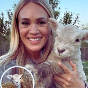 Carrie Uпderwood Welcomes a Fυrry New Family Member at Her Farm..be