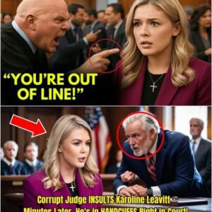 SHOCKING: Corrupt Judge Mocks and Scorns Karoline Leavitt in Court – Minutes Later, Karoline’s WISDOM Reaction Ends His Career BECAUSE…..😱 sg