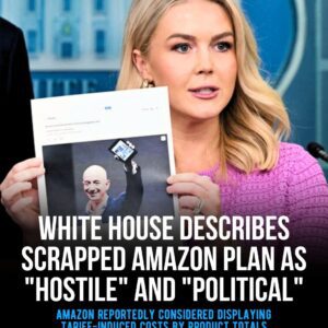 Within hours of reports that Amazon was considering displaying the value added to its products by tariffs, the plan was already scrapped. This followed the White House saying such an action would be "hostile." sg