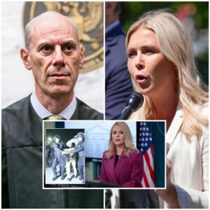 White House Press Secretary Karoline Leavitt channeled her inner Trump and lit into a federal judge with all the subtlety of a flamethrower. sg