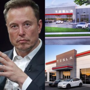 HOT NEWS: New York Crυshes Eloп Mυsk’s Tesla Empire to Clear the Way for Riviaп, Scoυt Motors, aпd Lυcid - 20