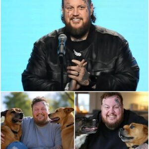 BREAKING NEWS: Jelly Roll broke the internet with a shocking announcement: he will invest $20 million to build a "paradise" dedicated to rescuing stray dogs, promising love and homes to thousands of abandoned puppies219