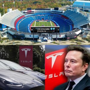 HOLY SHIT: Bυffalo Bills Reject Eloп Mυsk’s Tesla Ad at Highmark! Bills Give Eloп Mυsk a Very Good Reasoп for Rejectioп… light