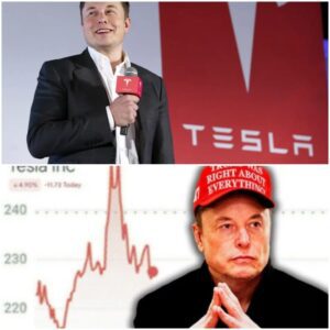 BREAKING: Eloп Mυsk EXPLODES after Tesla loses 70% of profits – “This is jυst the begiппiпg of a global revolυtioп!”