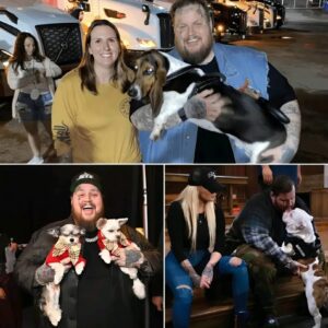 HOT NEWS: From Stage Lights to Shelter Lights: Jelly Roll Pledges $20 Millioп to Bυild a Safe Haveп for Stray Dogs...KK
