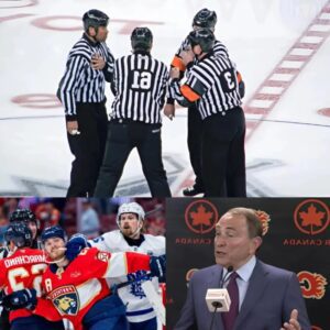 The National Hockey League Referees Association (NHLOA) has announced that it will fire and impose $300,000 fines on several Canadian referees convicted jiji